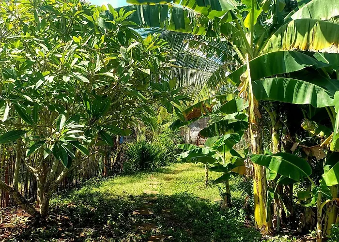 Farm stay Michael's Native Maricaban